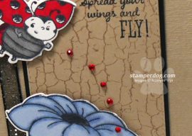 Loving a ladybug Card