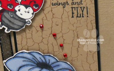 Loving a ladybug Card