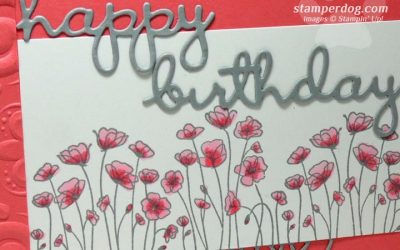 My Pink Birthday Card