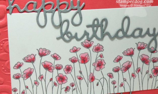 My Pink Birthday Card