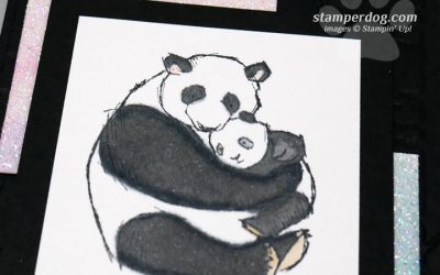 Baby Card with Pandas
