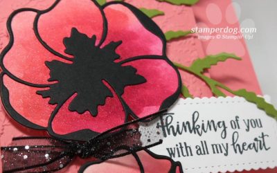 The Poppies are Back!