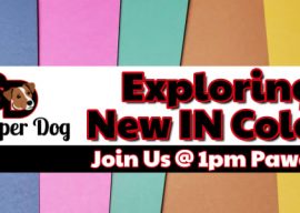 Let’s Check Out the New IN Colors!