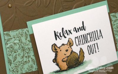 Check Out Our Big Haul of New Stamps