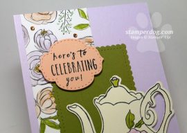 Another Designer Series Paper Idea to the Rescue