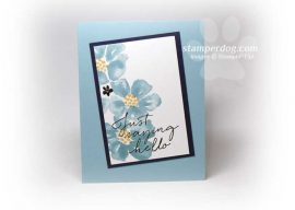 Super Fast and Fabulous Card