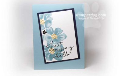 Super Fast and Fabulous Card