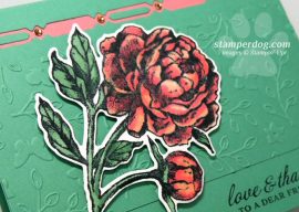 Prized Peony Watercolor Card