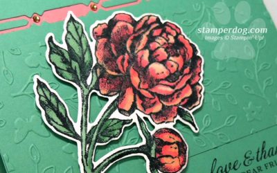 Prized Peony Watercolor Card