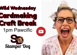 Craft Break on Wild Wednesday