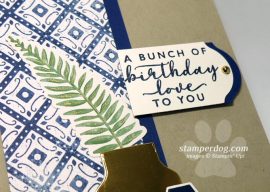Exploring the Boho Indigo Medley