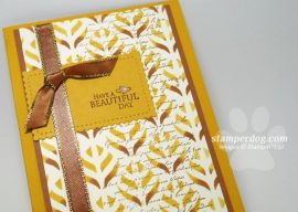 Is It Too Soon for a Fall Colors Greeting Card?