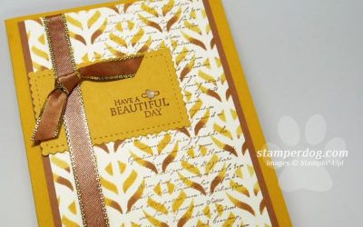 Is It Too Soon for a Fall Colors Greeting Card?
