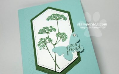 Queen Anne’s Lace Flower Card