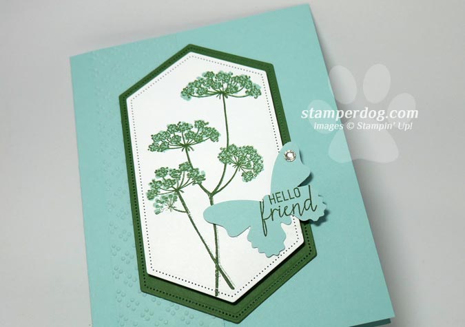 Queen Anne’s Lace Flower Card