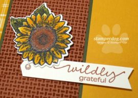 Sunflower Thank You Card