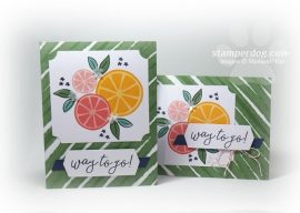 Time Saving CardMaking Kits