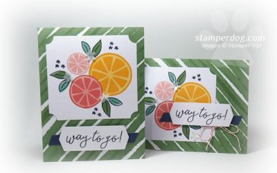 Time Saving CardMaking Kits