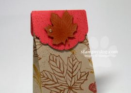 Fall Treat Bag Project