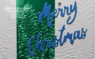 If I Remade This Christmas Card