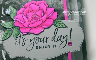 Elegant Card From a Quick Card Layout