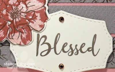 Pink Rose Card