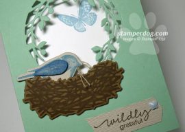 Finally Made a Bird Window Card!