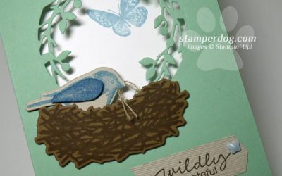 Finally Made a Bird Window Card!