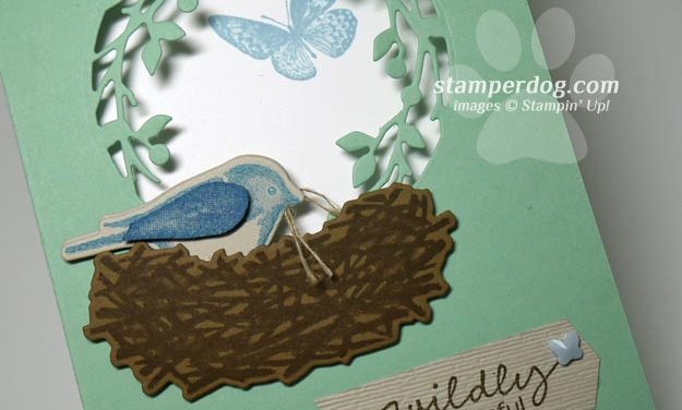 Finally Made a Bird Window Card!