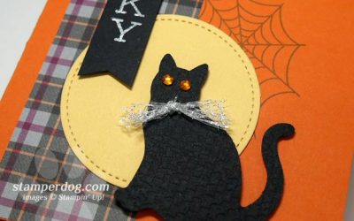 Black Cat Halloween Card