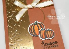 Sharing a Elegant Fall Card
