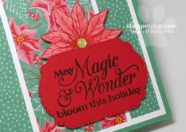 Magic of Christmas Card