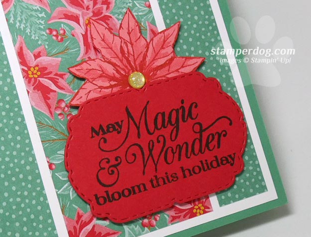 Magic of Christmas Card