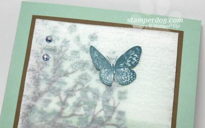 Textured Vellum Scenery Card