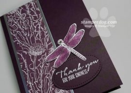 Sneak Peek Dragonfly Card