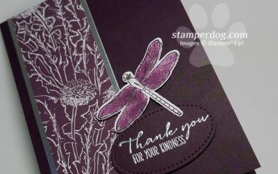 Sneak Peek Dragonfly Card