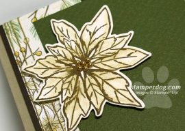 Poinsettia Sympathy Card