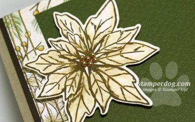 Poinsettia Sympathy Card
