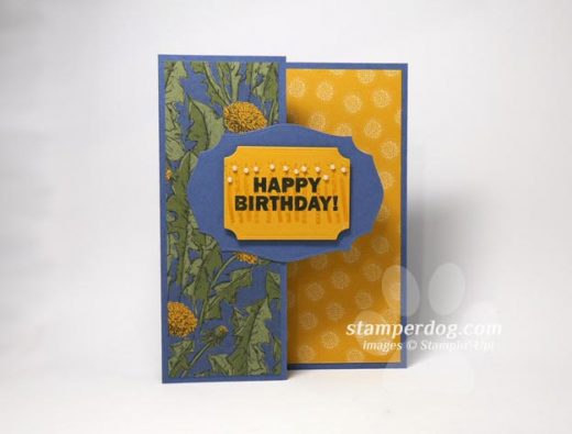 Z-Fold Birthday Card
