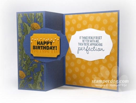 Z-Fold Birthday Card