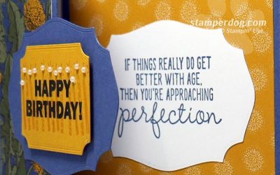 Z-Fold Birthday Card