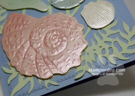 Seashell Card