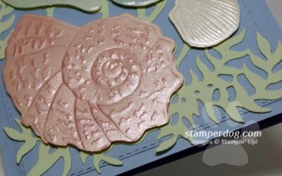 Seashell Card