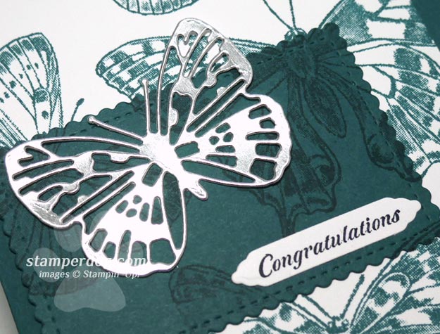 Beautiful Butterflies Card