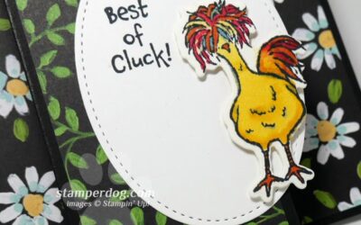 Hey Chick Fancy Folds Card