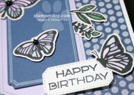 Beautiful Butterfly Birthday Card