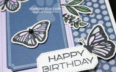 Beautiful Butterfly Birthday Card