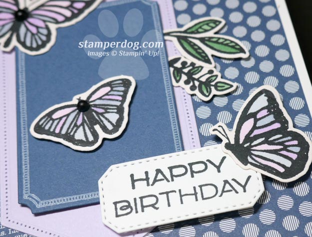 Beautiful Butterfly Birthday Card