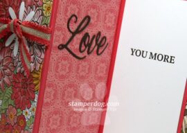 We Made the Fun Fold Card