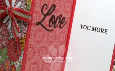 We Made the Fun Fold Card